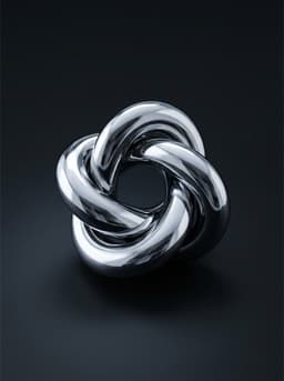 Chrome study from the AIREFUTURE visual system